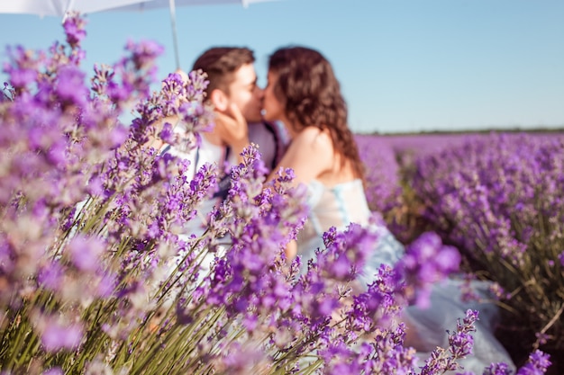 couple in love under a white umbrella on a lavender field