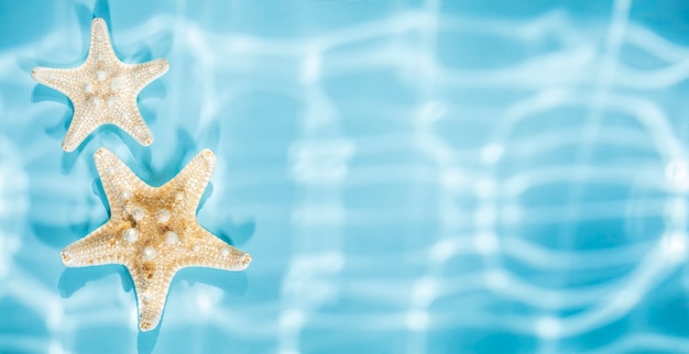 Фото Пара белых морских звезд на синем фоне с подводными рваными тенями, вид сверху, копией пространства