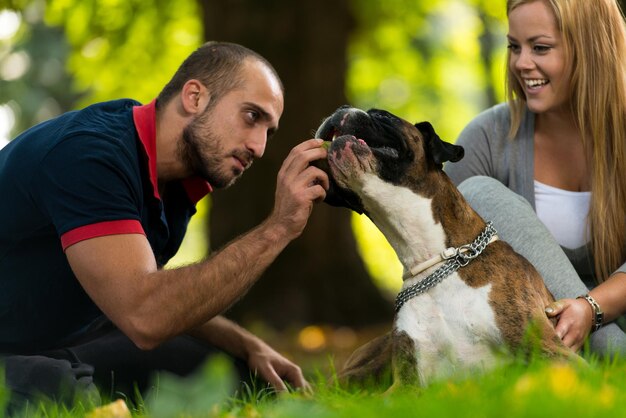 犬と遊ぶカップル