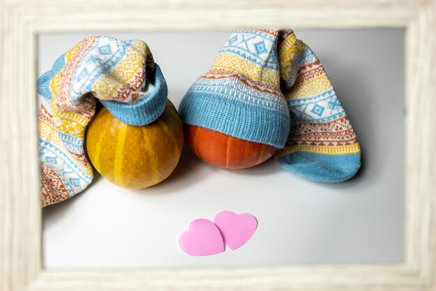 Couple of pumpkins with socks on them as caps