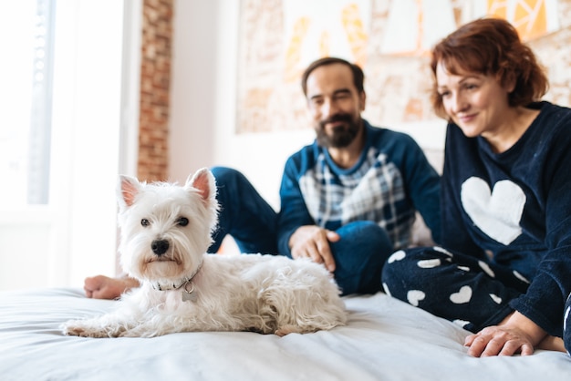Couple relaxed at home in bed with the dog 
