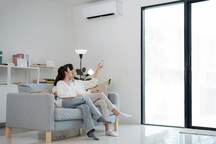 カップルがソファでリラックスしリモコンでエアコンを調整しています