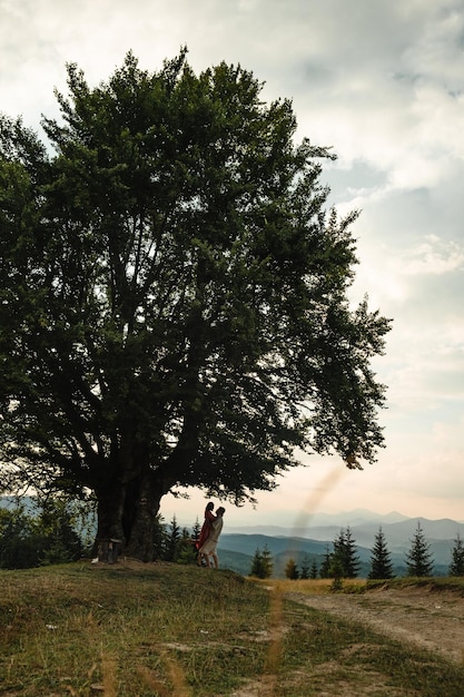 A couple sits on a bench by a big old beech tree with a view of the mountains