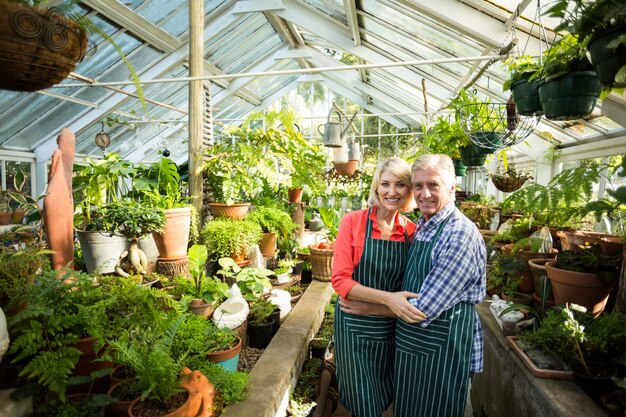 温室の植物の中に立っているカップル