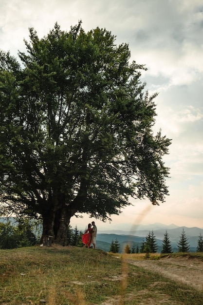 A couple stands under a big old beech tree with a view of the mountains and the sunset