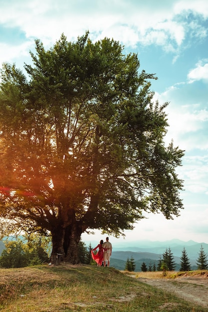 A couple stands under a big old beech tree with a view of the mountains and the sunset