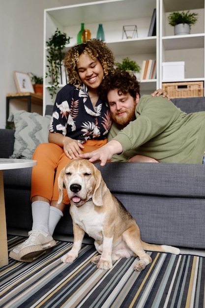 Photo couple taking care of their dog