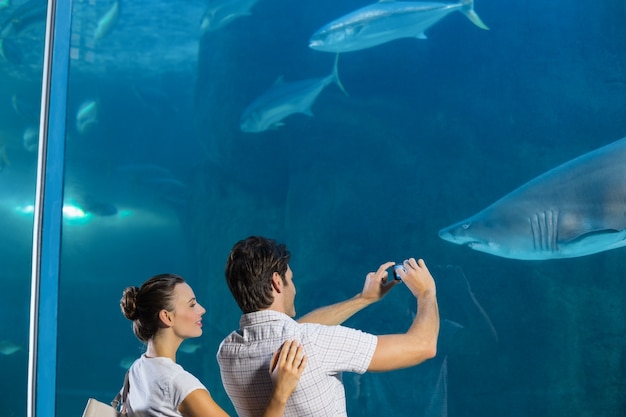 Couple taking photo of shark