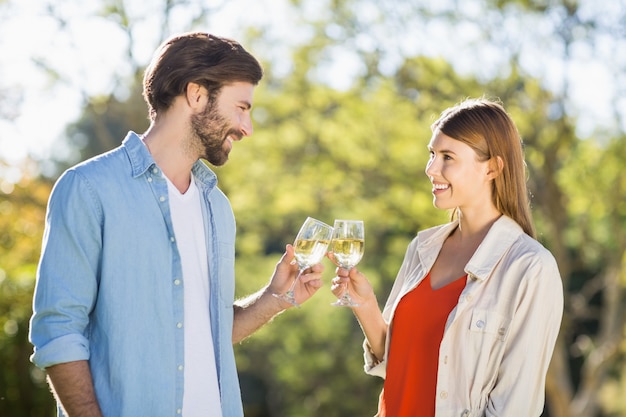 Couple toasting wine glasses