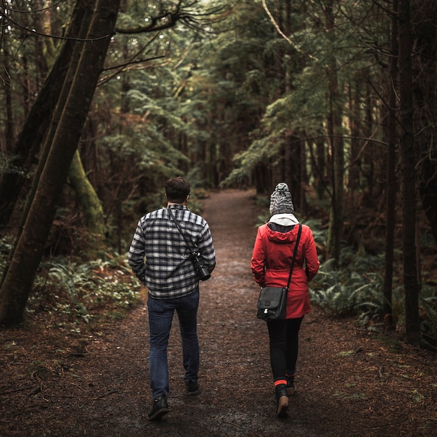 Foto coppia, viaggiare, attraverso, foresta