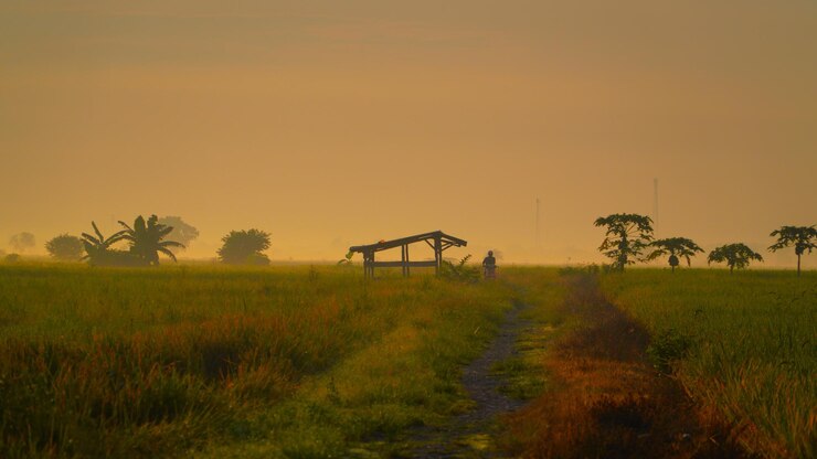 फोटो a couple walking in a field with a fence and a field with trees in the background