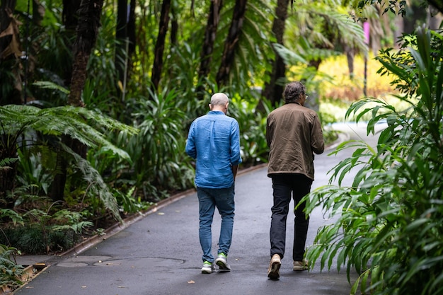 庭を歩くカップル男性と女性は、春に家族一緒に植物に囲まれた木々の下で自然の中を歩きます