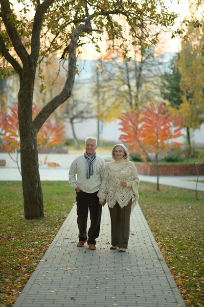 Photo couple walking in the park