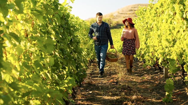 Coppia che cammina in un vigneto con bicchieri di vino in mano. l'uomo porta un cesto d'uva.