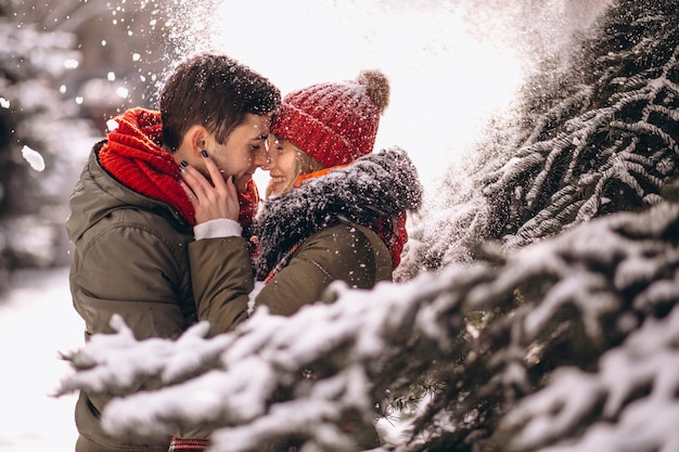 Couple in winter by the fir tree under falling snow