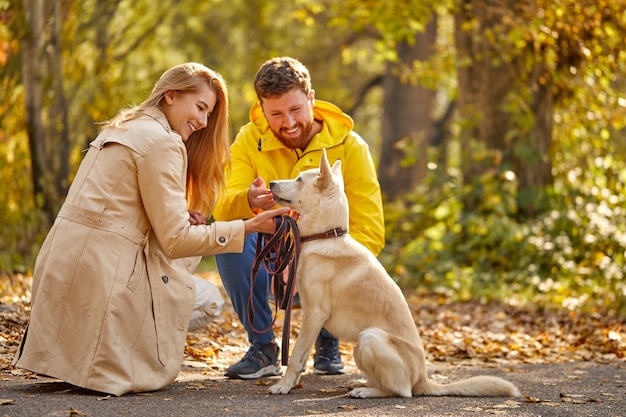 犬の散歩とカップル。ポジティブな白人カップルは森の中で犬と過ごす時間を楽しんでいます