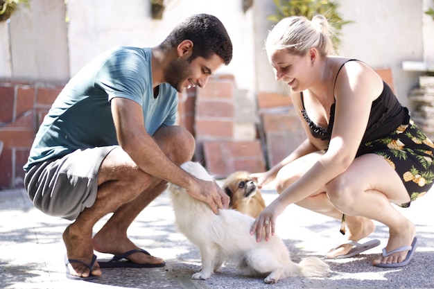 Photo couple with dog