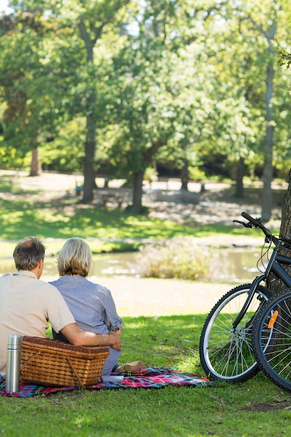 Couple with picnic basket in park