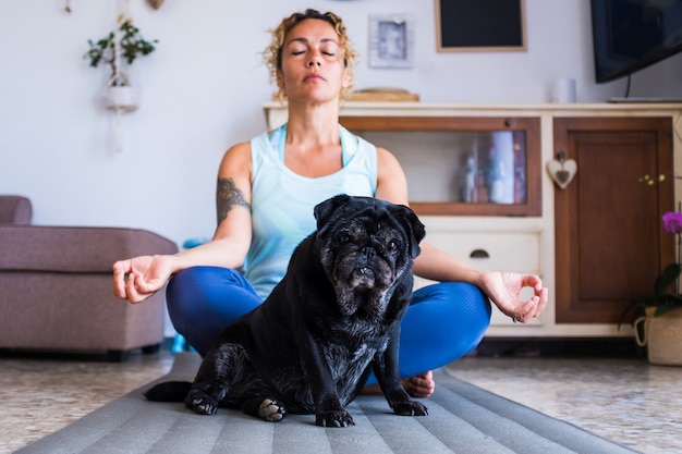 Coppia di donna e carlino che fanno insieme sul pavimento - fermale adulto che fa esercizio fisico come lo yoga e il cane sta guardando l'umore della quarantena della telecamera annoiato ed essendo sano e in forma