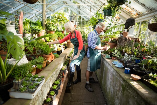 Couple working at greenhouse