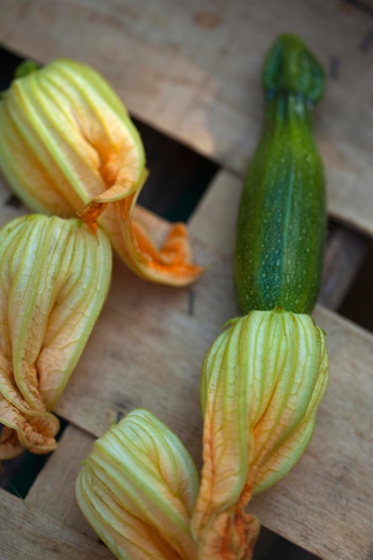 courgette