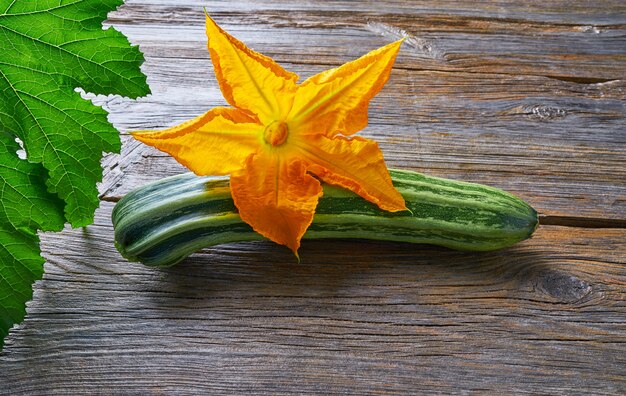 courgettegroente en bloem op hout