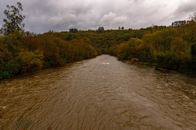 Course of the Narcea River in Asturias - Spain. 