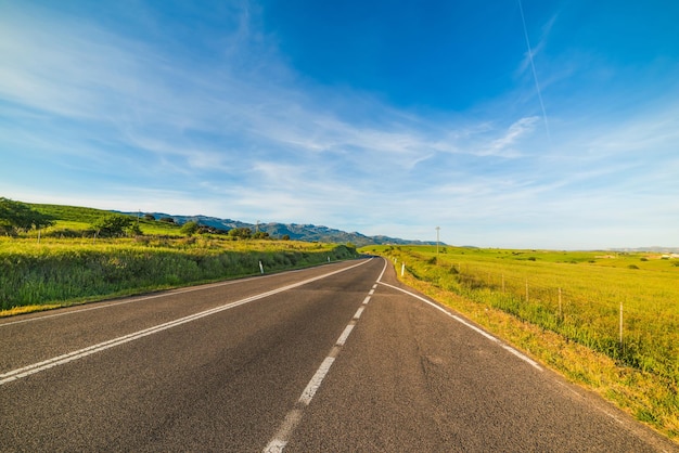 Coutry road under a blue sky in Sardinia Italy