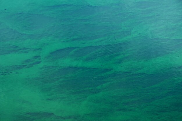 Foto copertura o mantello di alghe verdi o licheni che ricoprono la superficie di un letto di fiume sfondo e texture