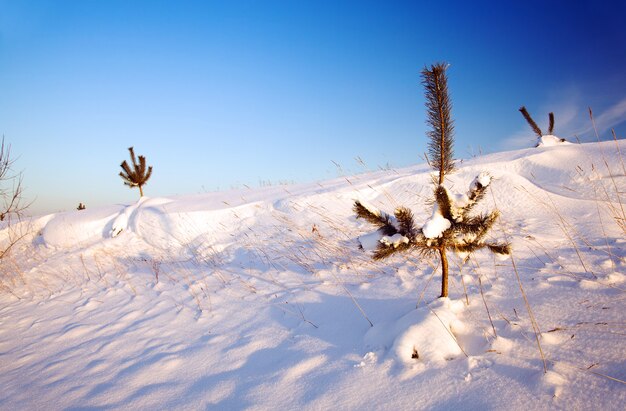 Covered with snow in the winter time