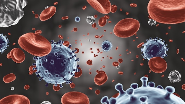 COVID-19 . Coronavirus floating on blood stream with red blood cell and white blood cell flowing in vessel . Microscopic view of virus and human cell . 3D rendering .