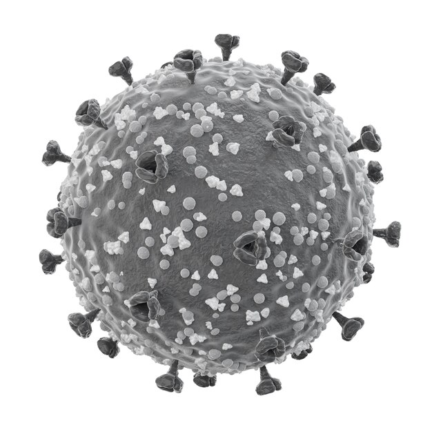 COVID-19 . Structure of corona virus . Spike glycoprotein and envelope protein and membrane protein . Fine detailed texture . Black and white color . Isolated . 3D rendering . Embedded clipping paths