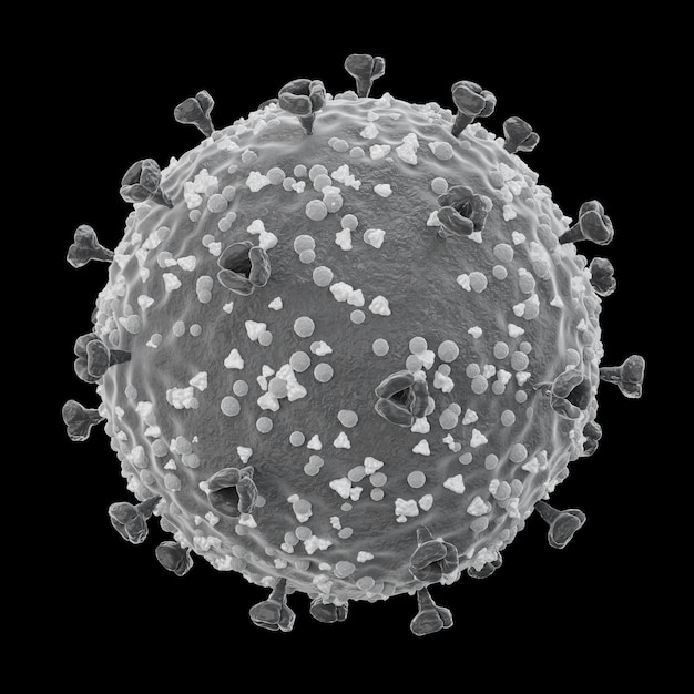 COVID-19 . Structuur van het coronavirus. Spike glycoproteïne en envelopproteïne en membraanproteïne. Fijne gedetailleerde textuur. Zwart-witte kleur. Geïsoleerd. 3D-weergave. Ingesloten uitknippaden