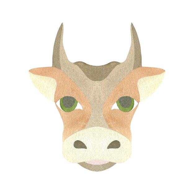 The cow 039s head is red Watercolor illustration highlighted on a white background
