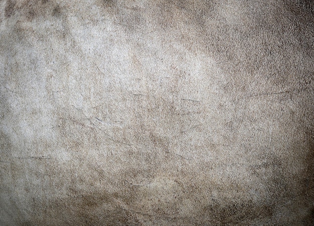 Cow skin background