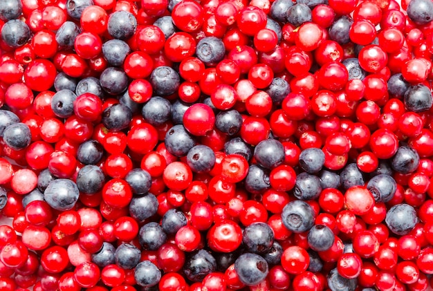 Cowberry와 bilberries는 우리 음식 배경입니다.