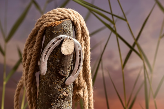 cowboy background with horse shoe