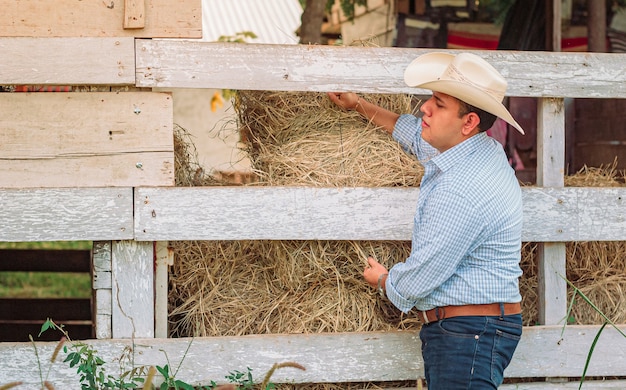 cowboy in the farm