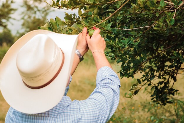 cowboy in the farm