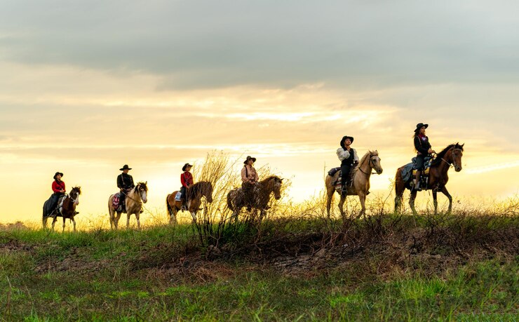 Cowboy op zijn paard tijdens het rennen van de paarden op de achtergrond
