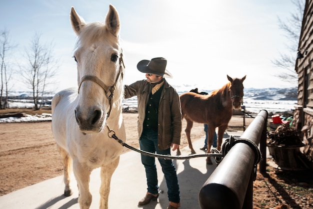 Photo cowboy with horses