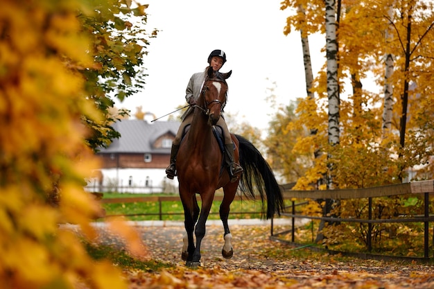 Cowgirl in a cowboy hat rides a horse on the background of the forest Motion blur effect