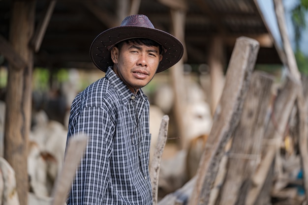 Cowman in cowshed and his cows