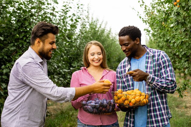 Colleghi presso l'azienda frutticola dopo la raccolta del raccolto