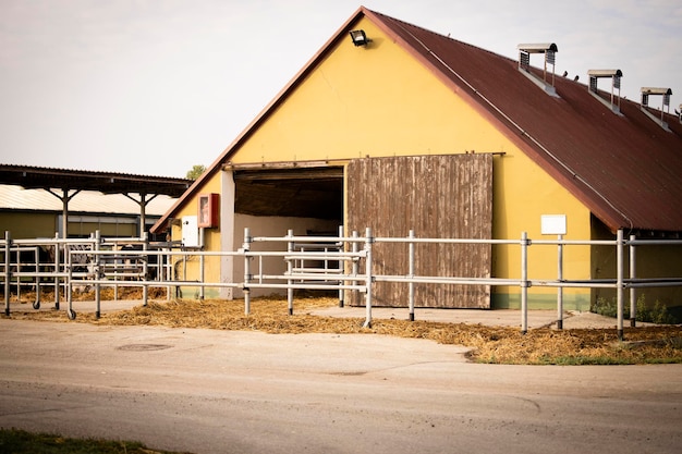 Cowshed stable or barn at cattle farm
