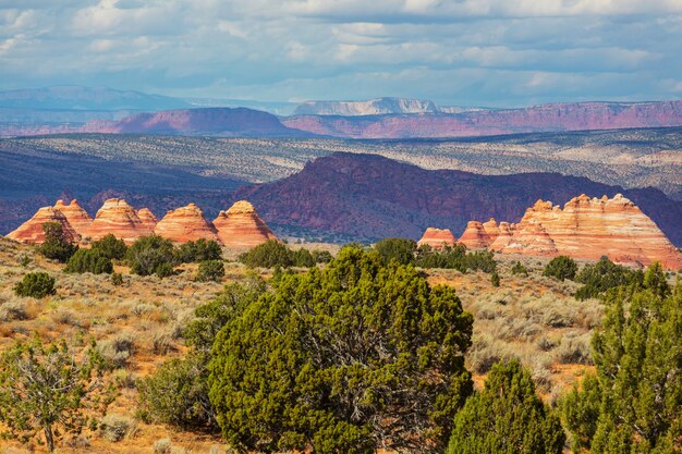 Coyote Buttes van het Vermillion Cliffs Wilderness Area, Utah en Arizona