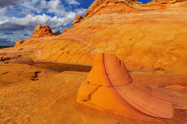 Coyote Buttes van het Vermillion Cliffs Wilderness Area, Utah en Arizona