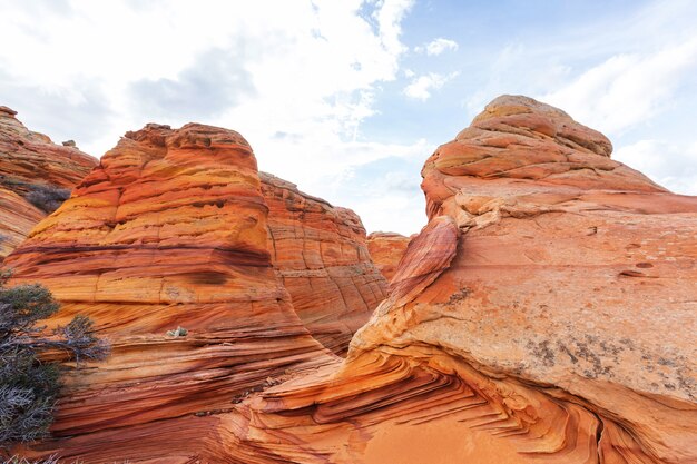 Vermillion Cliffs Wilderness Area, 유타 및 애리조나의 코요테 뷰트