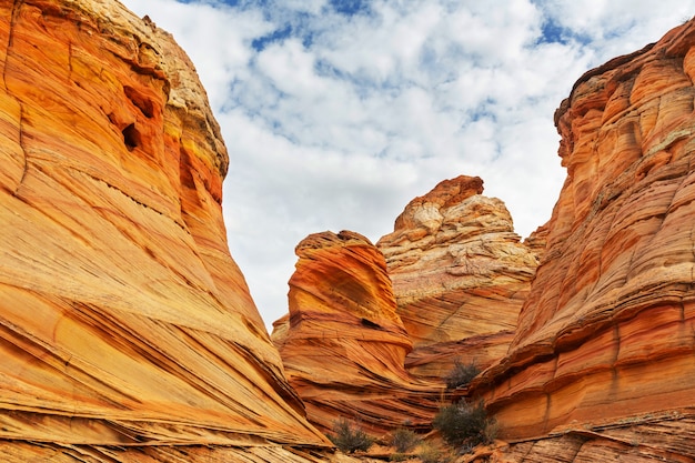 Vermillion Cliffs Wilderness Area, 유타 및 애리조나의 코요테 뷰트