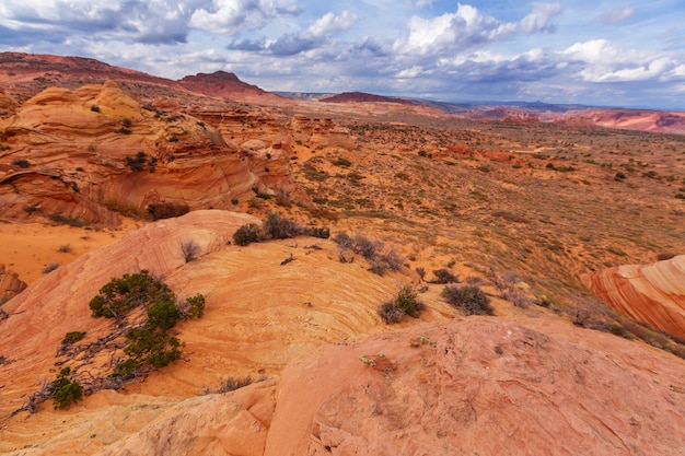 Vermillion Cliffs Wilderness Area, 유타 및 애리조나의 코요테 뷰트